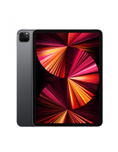 iPad Pro 11 pouces M1