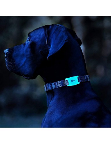 Collier pour chien Airtag compatible avec le collier de chiot en polyester  Apple Airtag avec support de boîtier en silicone Air Tag-Vert-M 12.9-21.6in