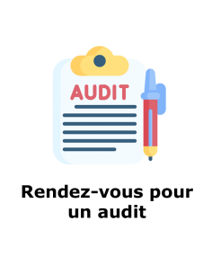 Audit