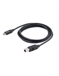 Câble USB-C vers USB-B 2m